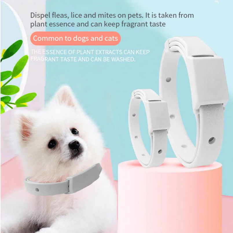 مكافحة البرغوث القراد طوق للقط - مراجعة Pet Immune Pir Sensor وسعره