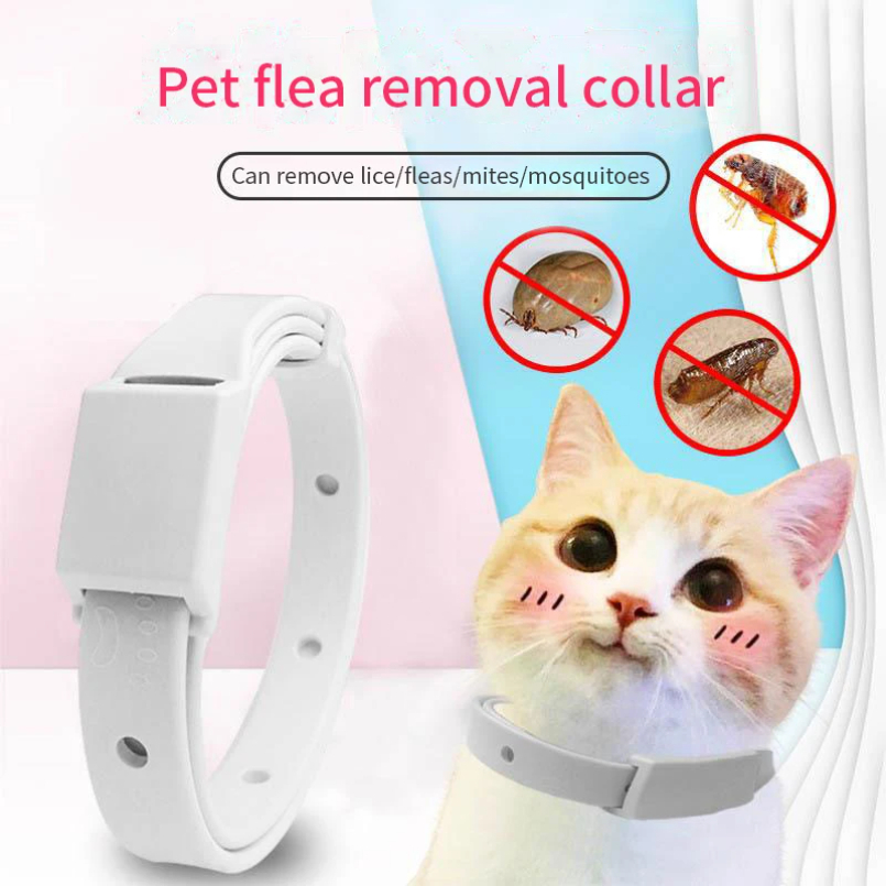 مكافحة البرغوث القراد طوق للقط - مراجعة Pet Immune Pir Sensor وسعره