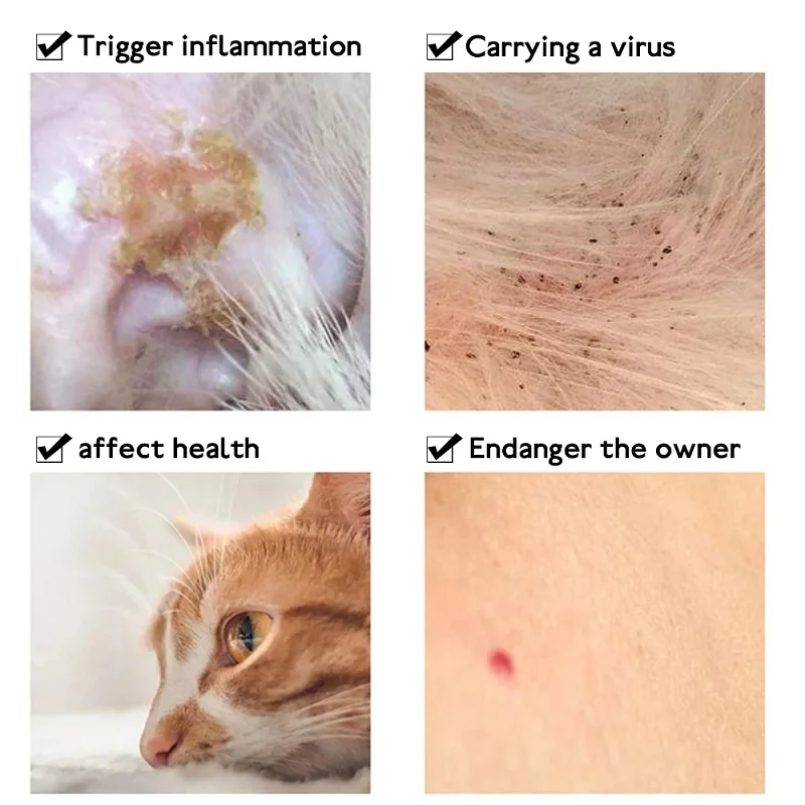 مكافحة البرغوث القراد طوق للقط - مراجعة Pet Immune Pir Sensor وسعره