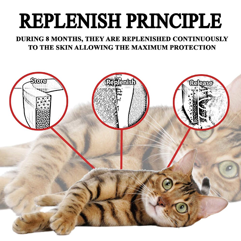 طوق مضاد للبعوض ومقاوم للماء ل - مراجعة Pet Immune Pir Sensor وسعره